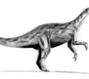 Prosauropoda