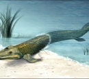 Transitional fossil