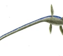 Cimoliasauridae