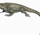 Sphenacodontidae