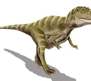 Gorgosaurus
