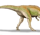 Giganotosaurus
