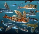 Iniopterygiformes