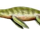 Liopleurodon