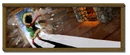 Bess Banner.png