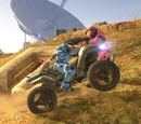 Mongoose Mowdown