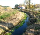 Czarna Struga (rzeka)