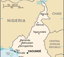 Cameroonian Cuisine
