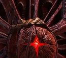 Viron.Volkov