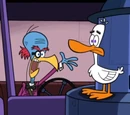 Duck