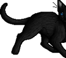 Crowfeather