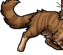 Crookedstar