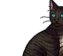 Mousefur