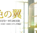 Tokai TV
