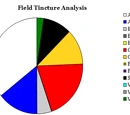 Analysis