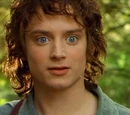 Frodo Baggins