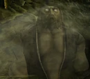 Torkil