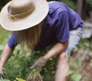 Casa Grande Community Garden
