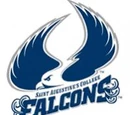 St. Augustine's Falcons