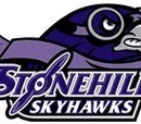 Stonehill Skyhawks