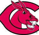 Central Missouri Mules