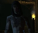 Pagan Warrior