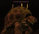 Tartaruga Gigante