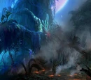 Bioluminescencja