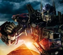 Revenge of the Fallen (film)