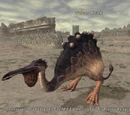 Tabar Beak