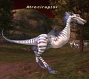 Atrociraptor