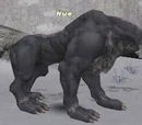 Nue