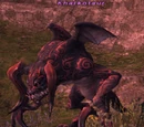 Khalkotaur