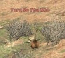 Yara Ma Yha Who