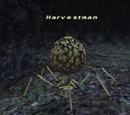 Harvestman