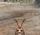 Teporingo