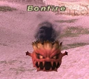 Bonfire