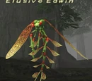 Elusive Edwin