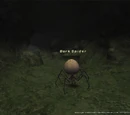 Bark Spider