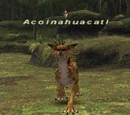Acolnahuacatl