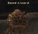Sand Lizard