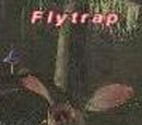 Flytrap