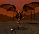 Draco
