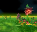 Verdant Fields