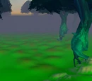 Emerald Forest