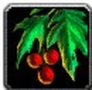 Inv misc plant 03.png