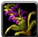 Inv misc herb 03.png