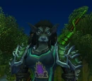 Предметы WoW на плечи