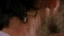 Medusa bite.gif