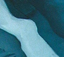 Лекку
